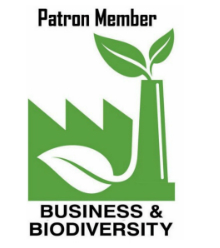 Header Image OA-HI-04.jpg