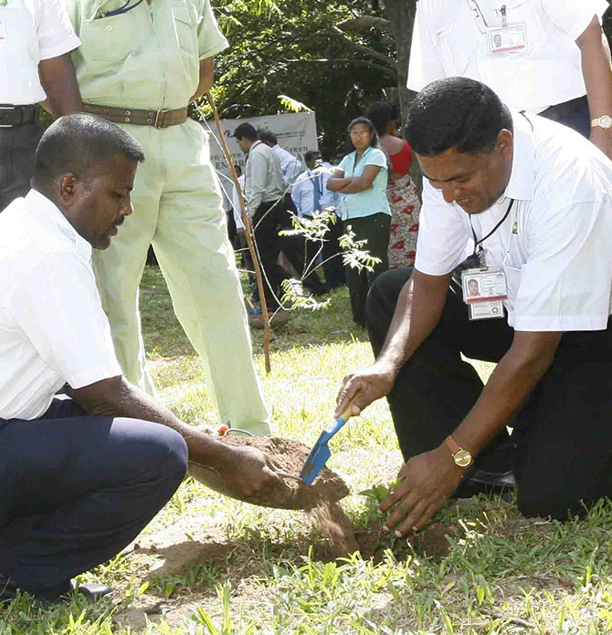 Header Image WWD-HI-05.jpg