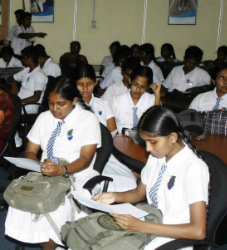 Header Image WWD-HI-07.jpg