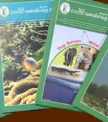 Header Image WWD-HI-20.jpg