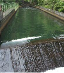 Header Image WWD-HI-24.jpg