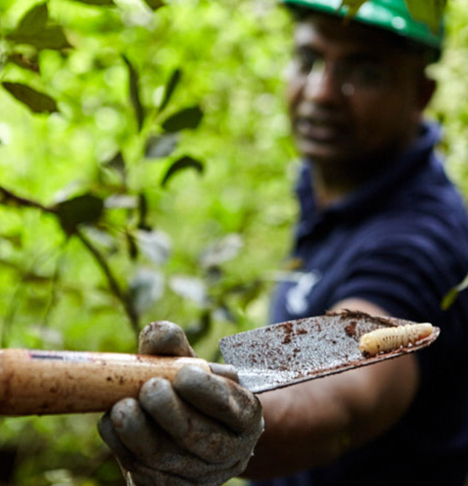 Header Image WWD-HI-30.jpg