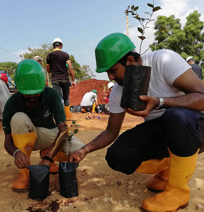 Header Image WWD-HI-42.jpg