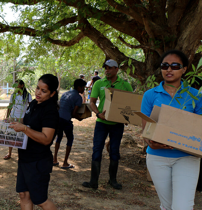 Header Image WWD-HI-45.jpg