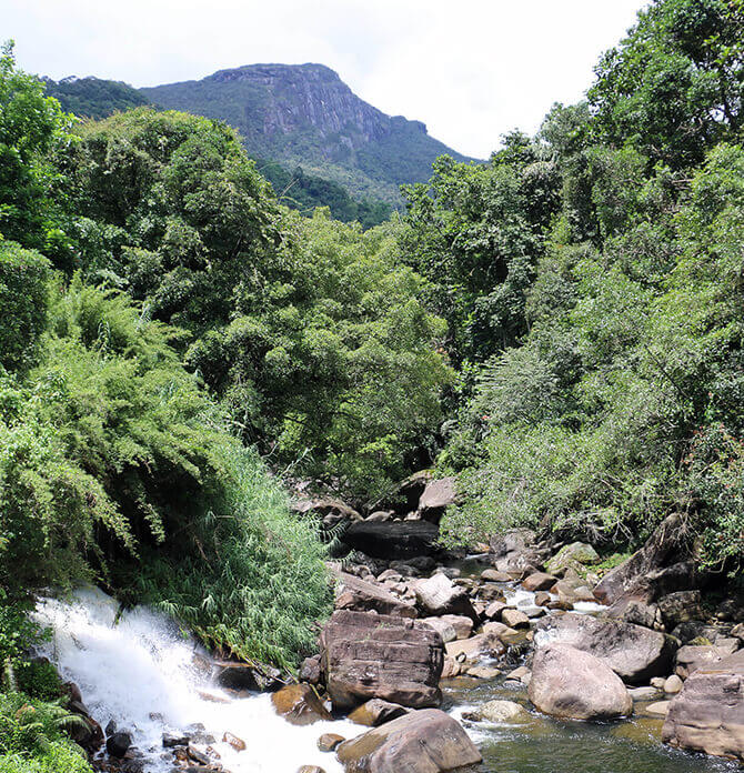 Header Image WWD-HI-46.jpg