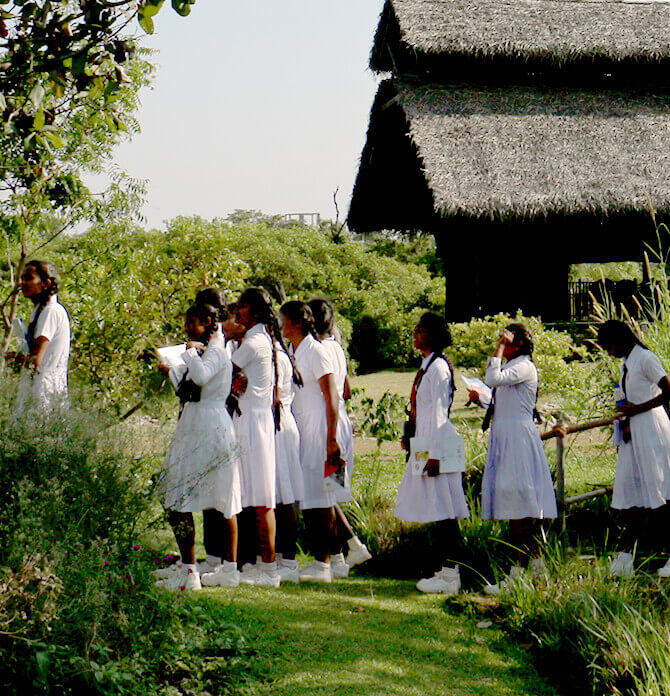 Header Image WWD-HI-52.jpg