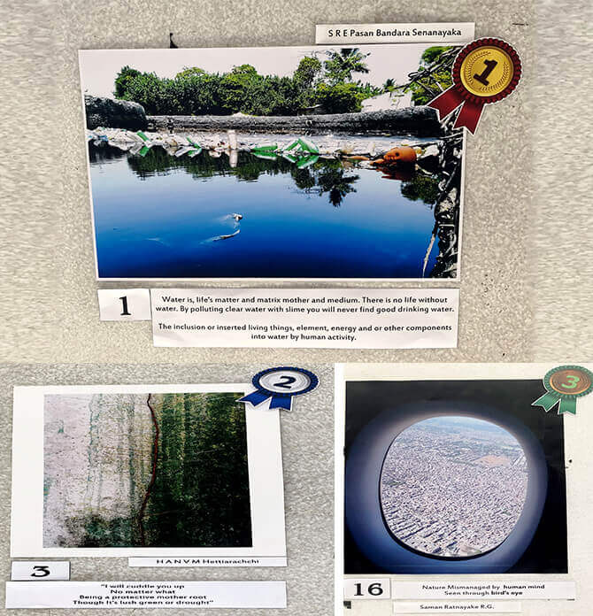 Header Image WWD-HI-53.jpg