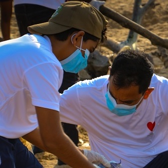 Header Image WWD-HI-56.jpg