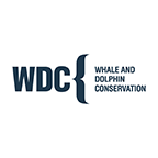 WDC Logo